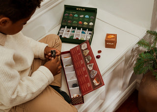 Educational Science Toys