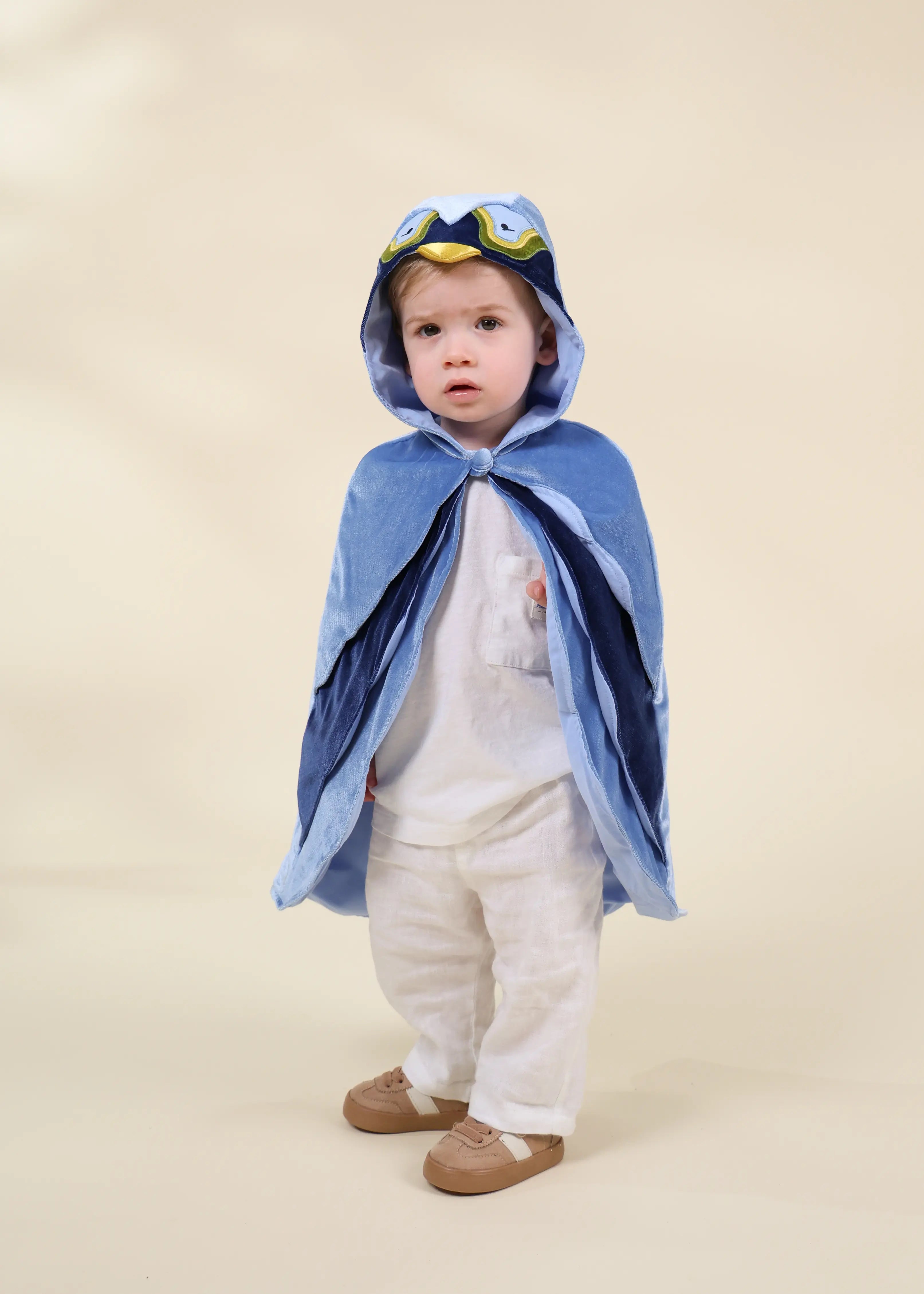 Image of Mon premier costume cape d’oiseau 