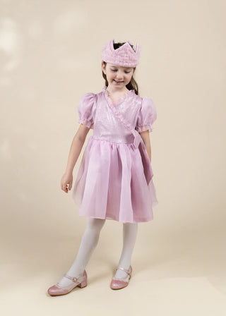 Dream Princess Dress with Crown Play Costume 3–4Y