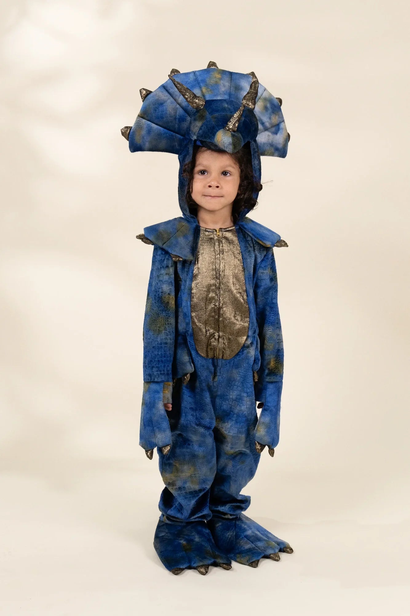 Image of Dinosaur Play Costume 3–4Y