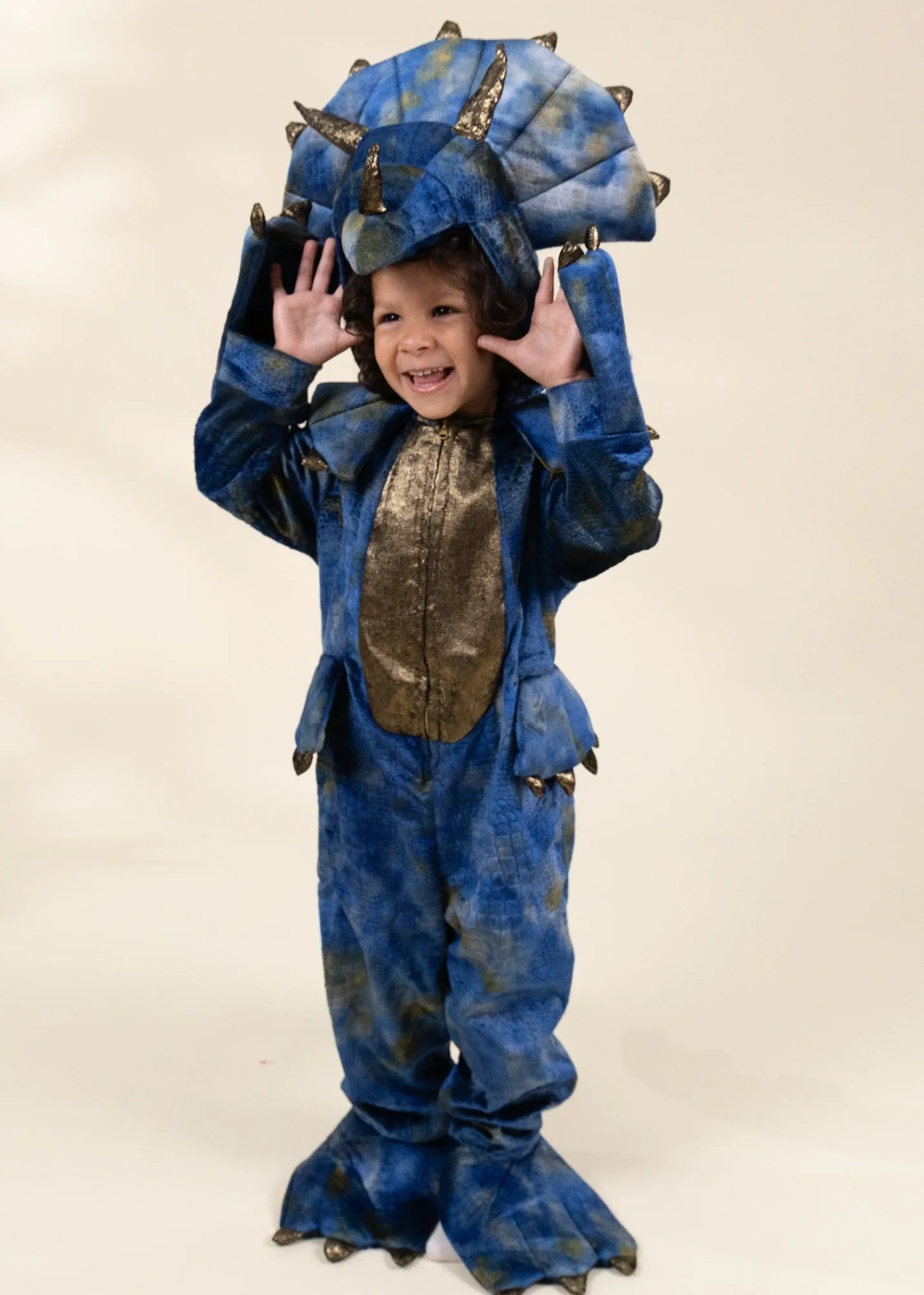Image of Dinosaur Play Costume 3–4Y