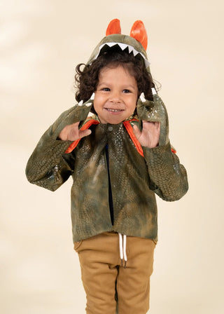Dinosaur Play Ciostume Cape 3–4Y