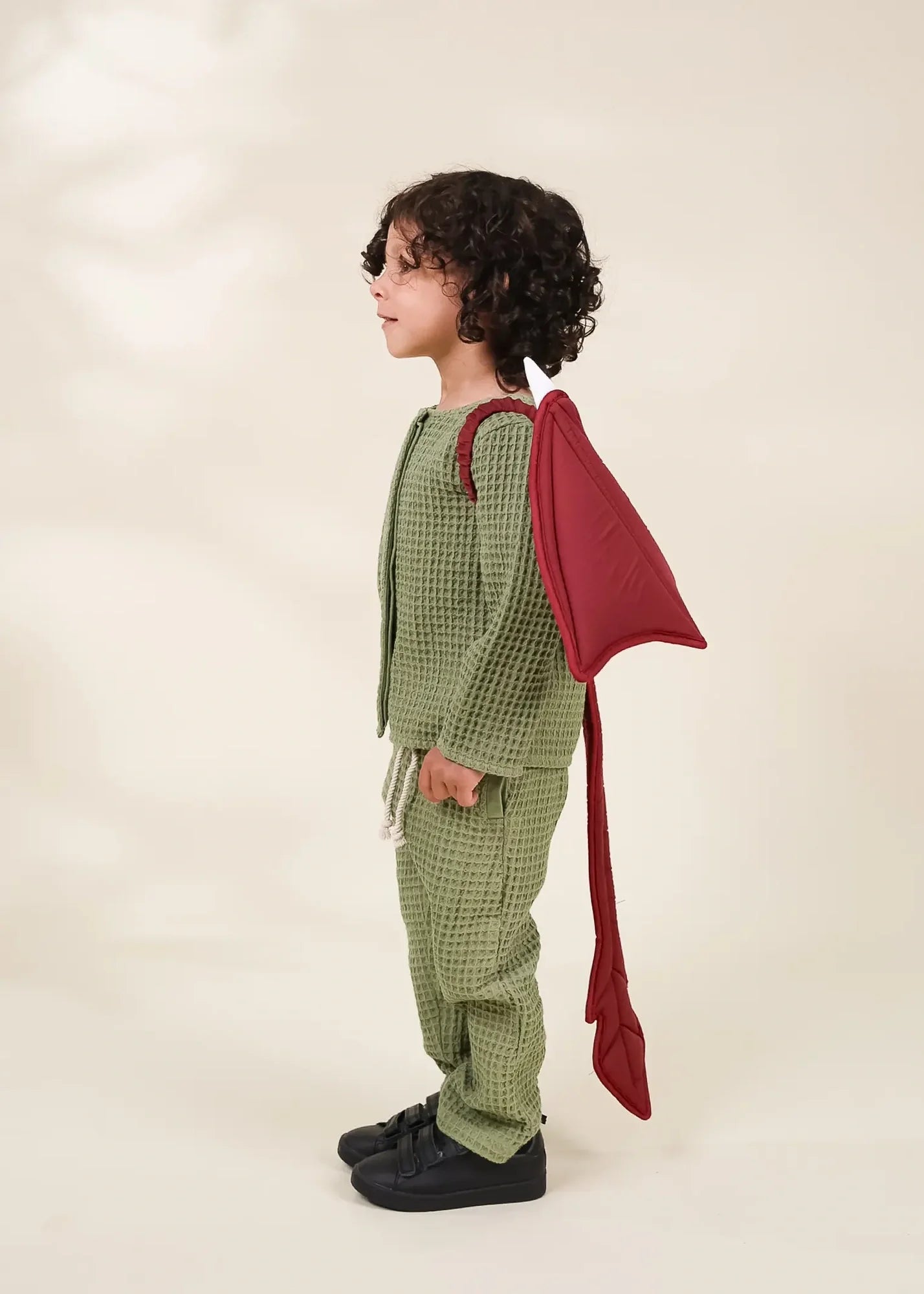 Image of Role Play Dress-Up Quilted Dragon Wings
