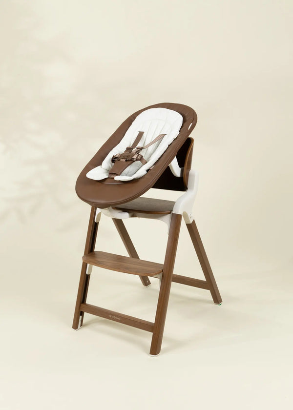 Chair + bouncer seat