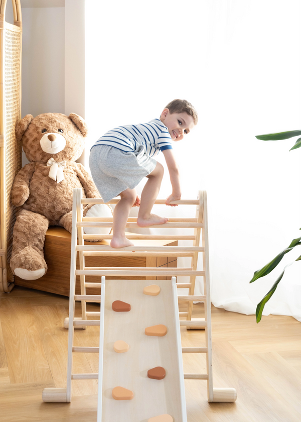 Montessori 2-in-1 Grip Climber Board & Slide