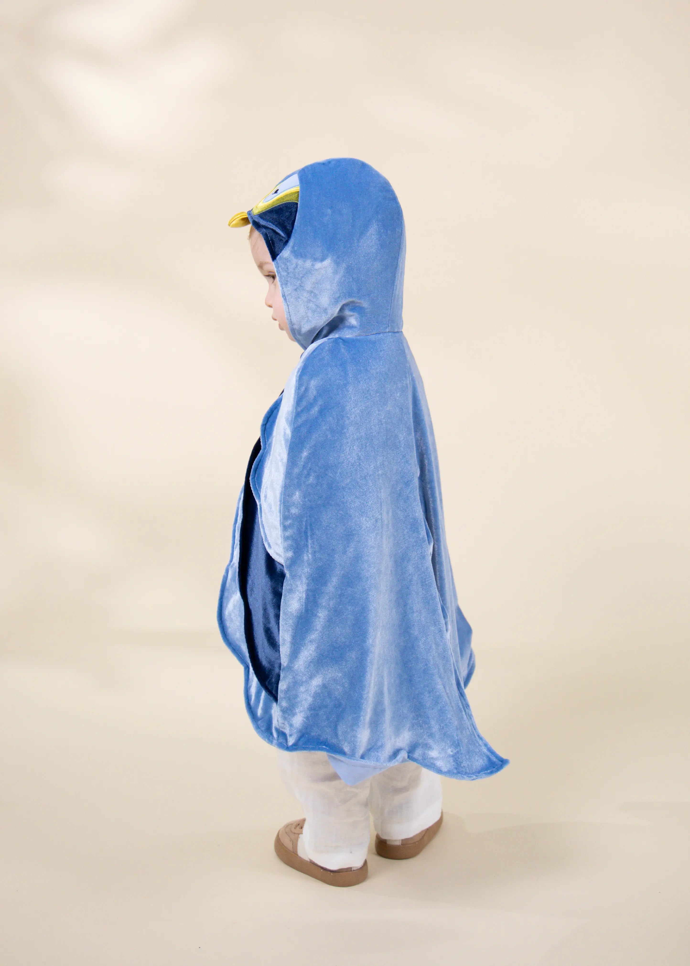Image of Mon premier costume cape d’oiseau 