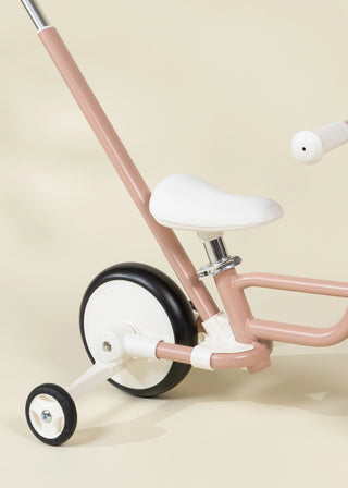 4-in-1 Tricycle with Push Handle & Training Wheels - Petunia