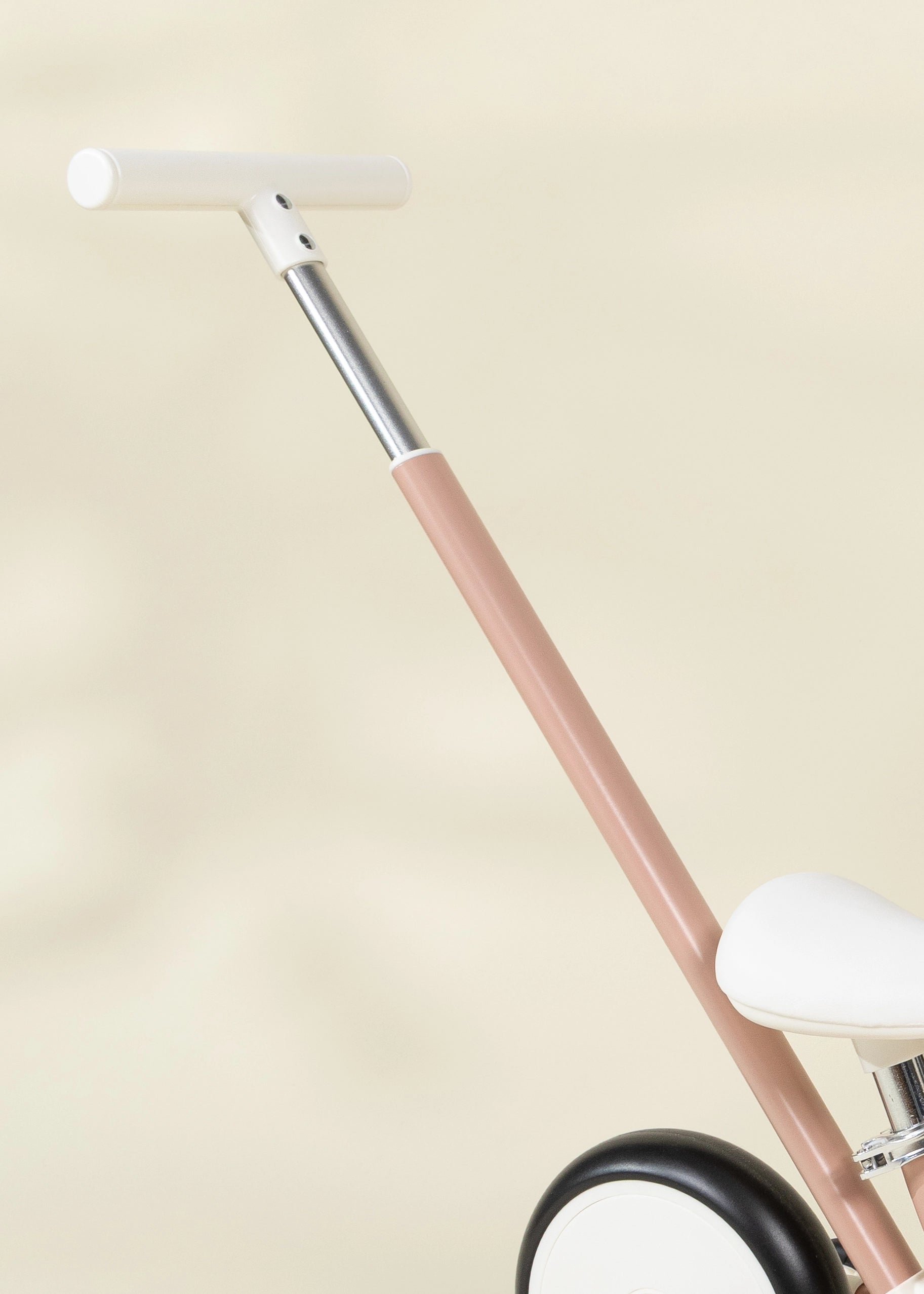 Image of 4-in-1 Tricycle with Push Handle & Training Wheels - Petunia