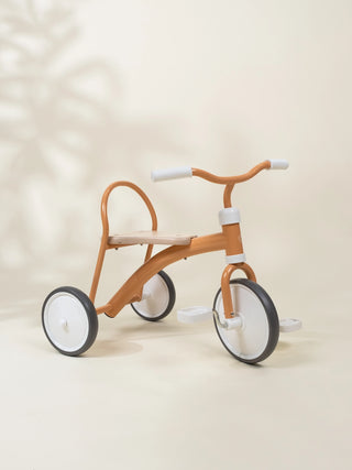 Tricycle Héritage – Pamplemousse 
