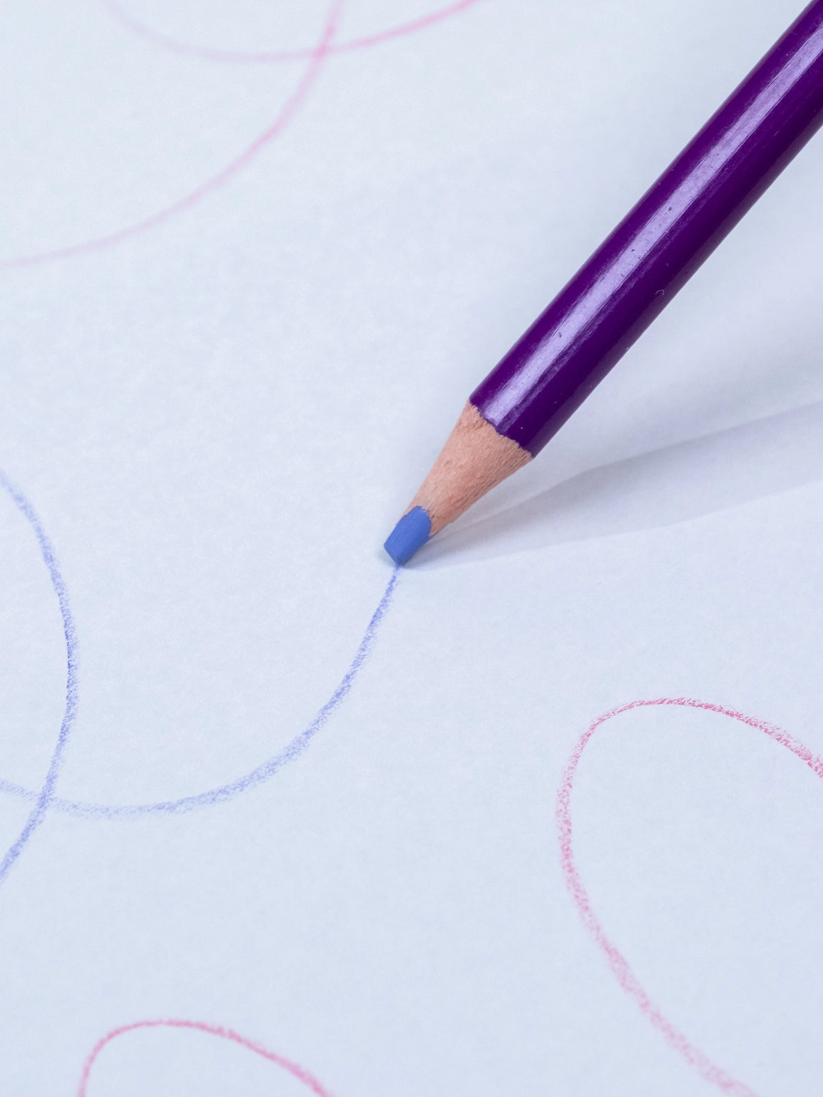 Image of Set of 24 Artist Colored Pencils