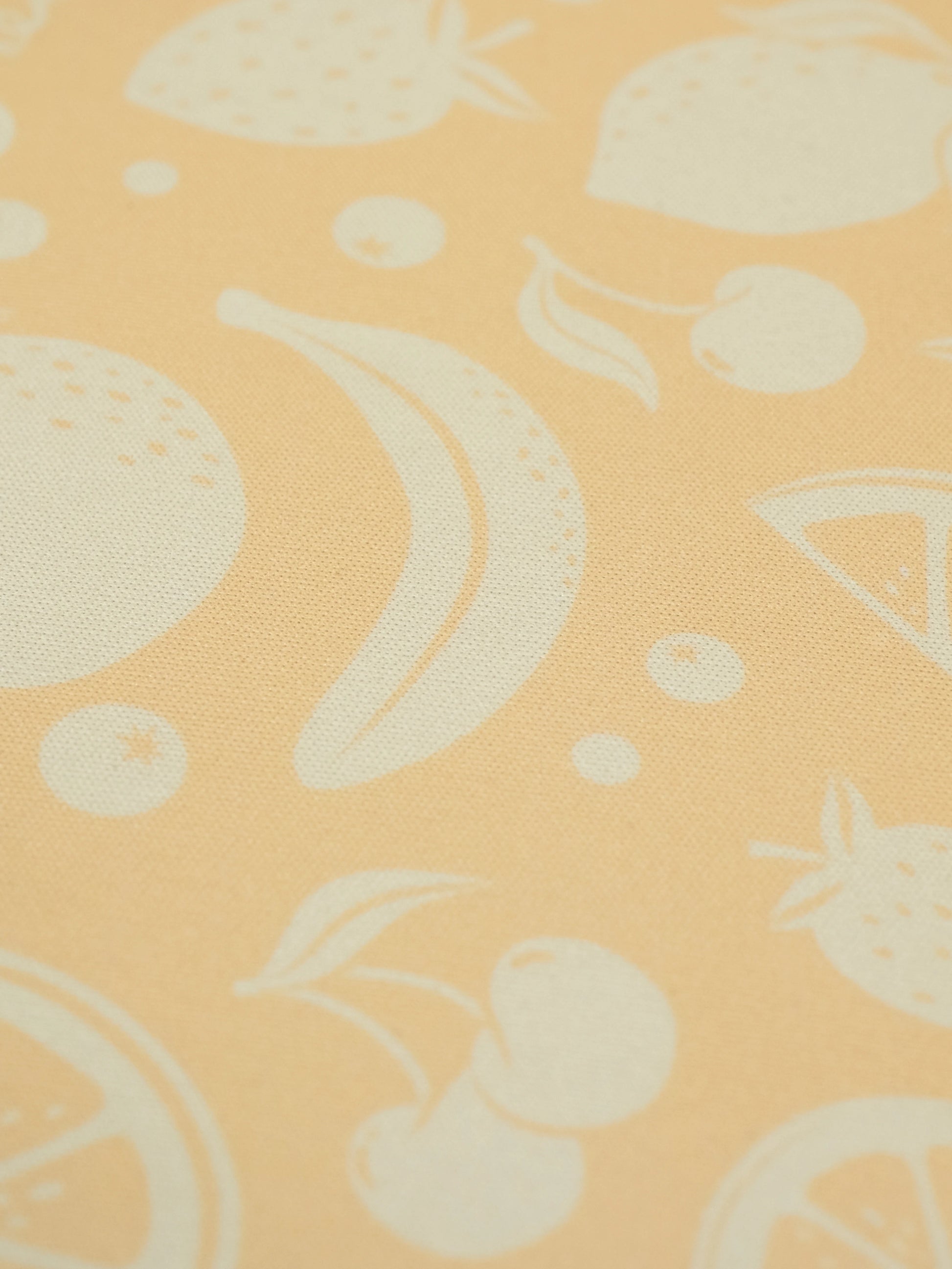 Neoprene Frisbee – Summer Fruits