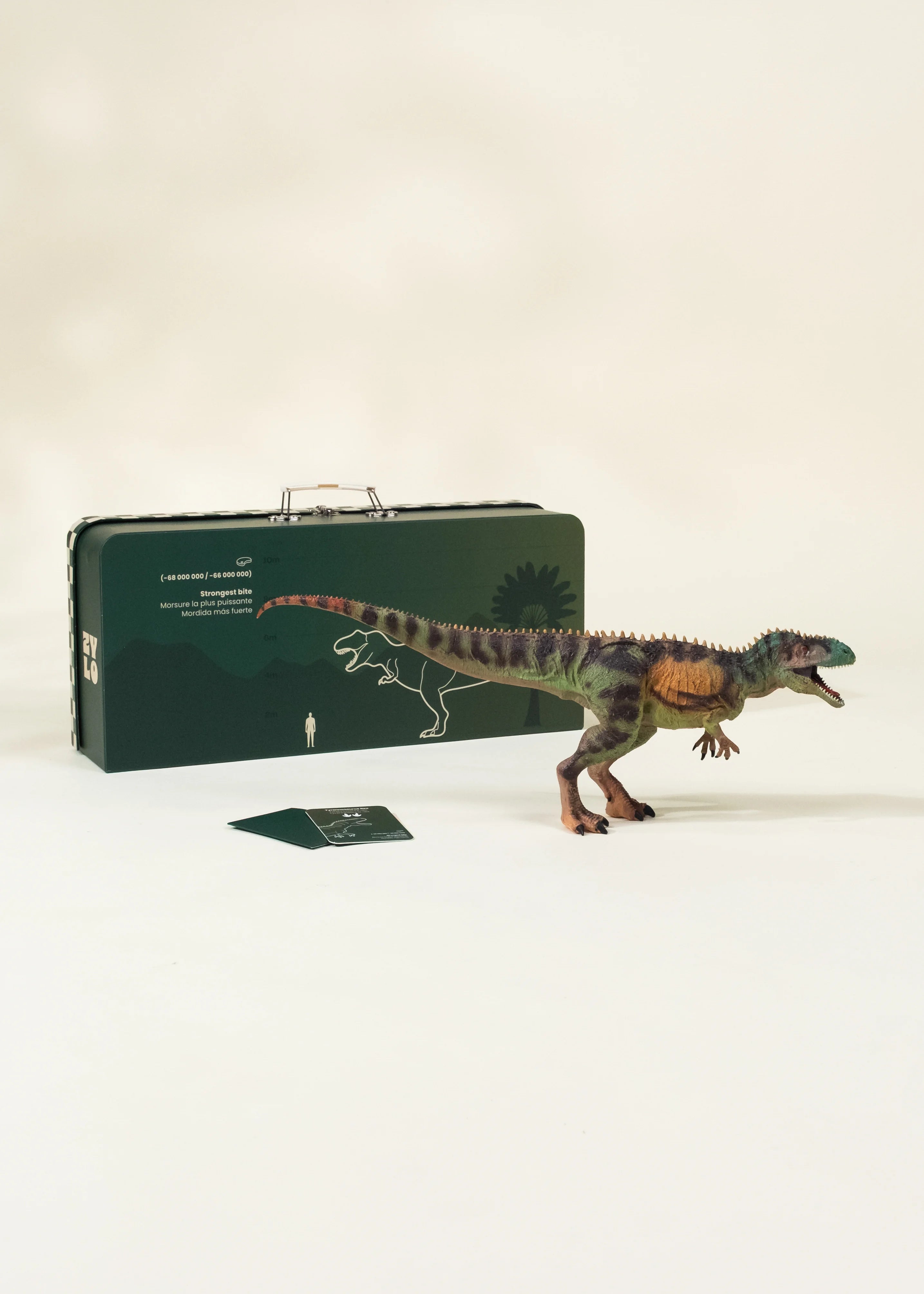 Tyrannosaurus Rex Dinosaur in a Collectible Box – Coco Village