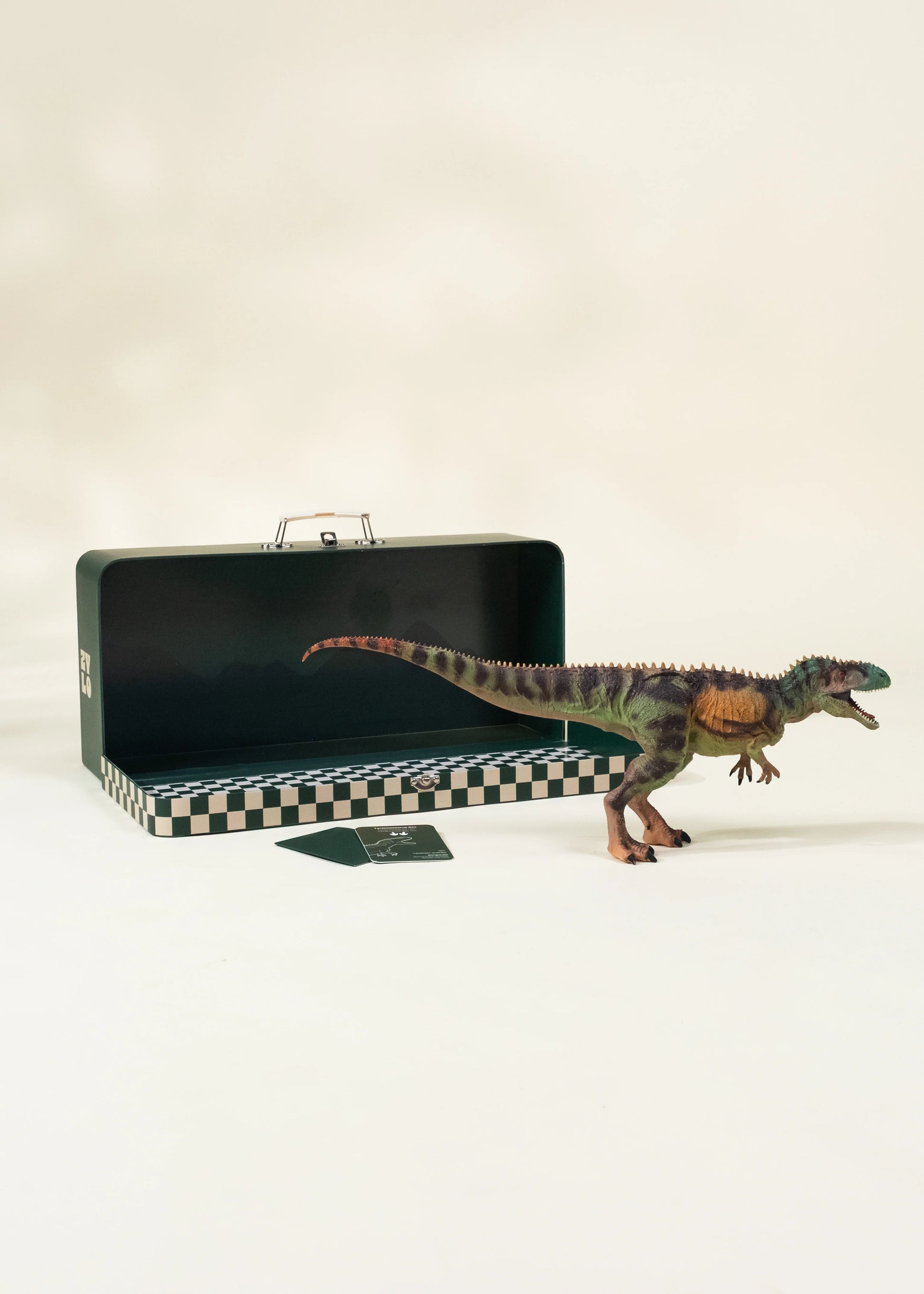 Tyrannosaurus Rex Dinosaur in a Collectible Box