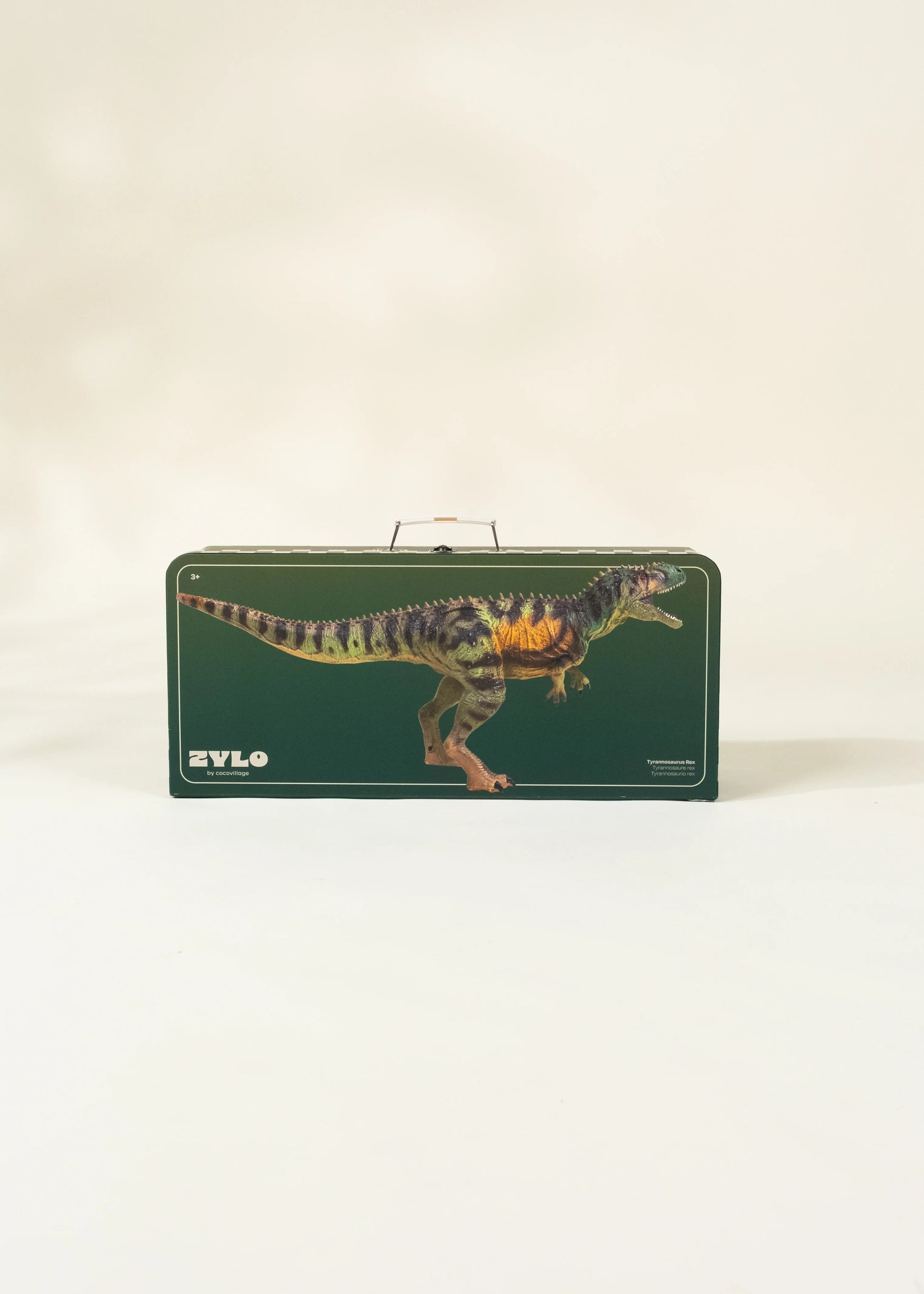 Tyrannosaurus Rex Dinosaur in a Collectible Box