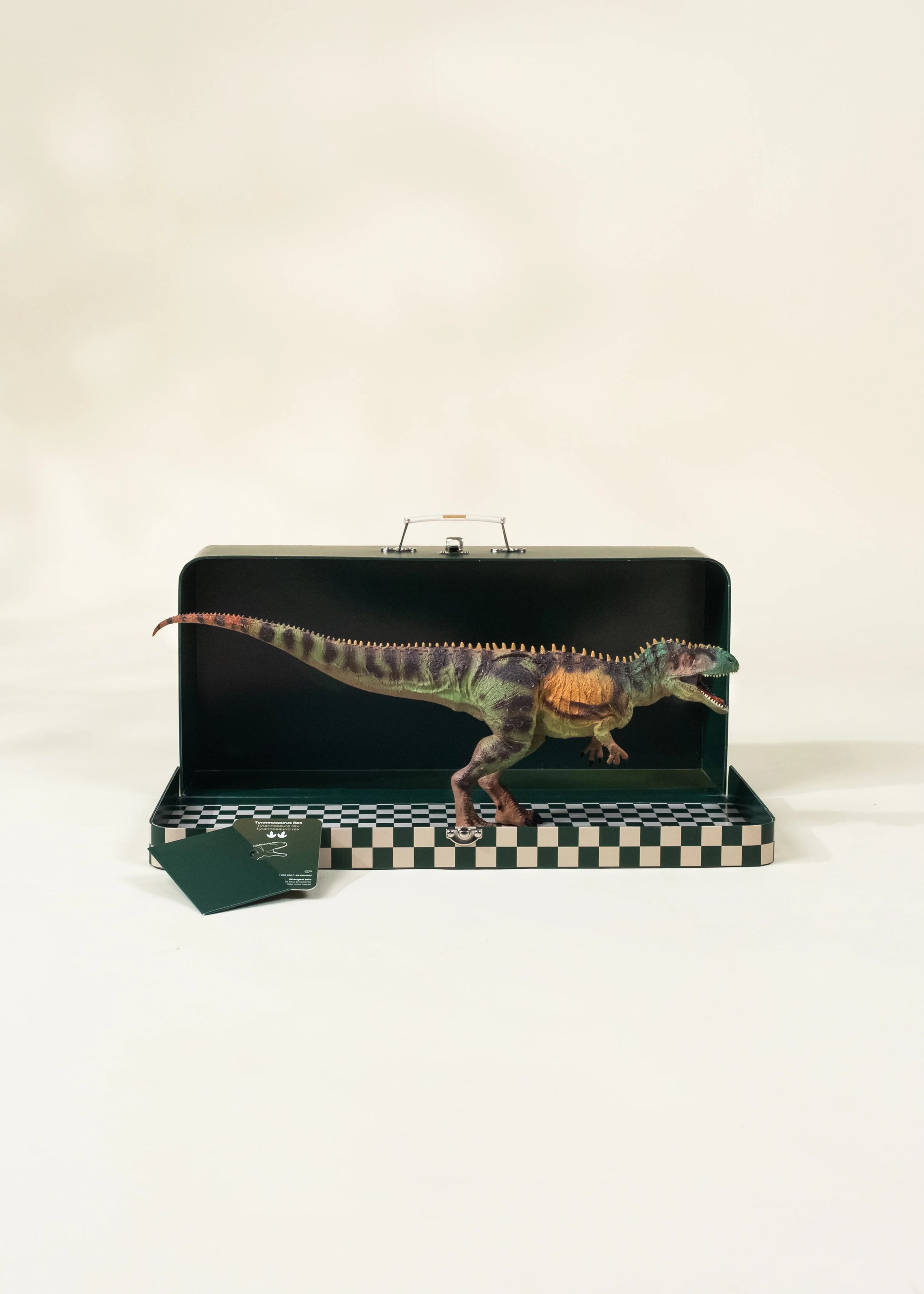 Tyrannosaurus Rex Dinosaur in a Collectible Box