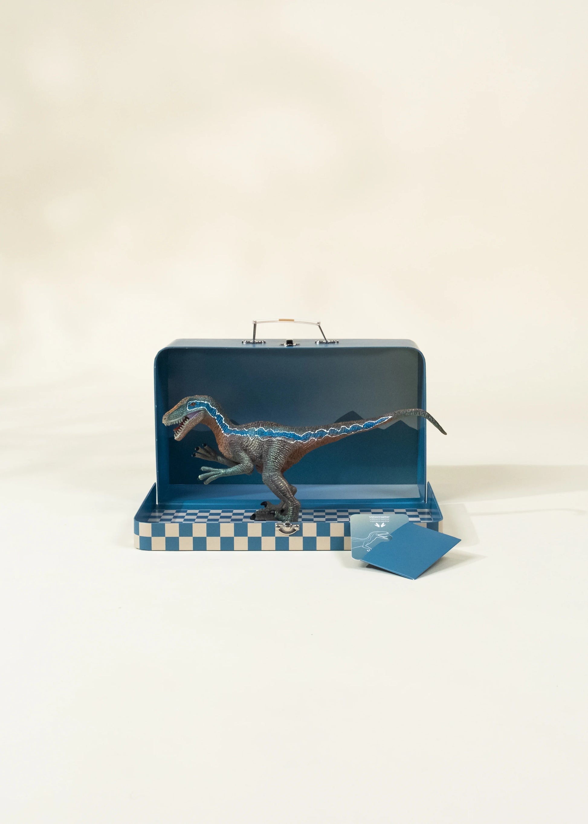 Velociraptor Dinosaur in a Collectible Box