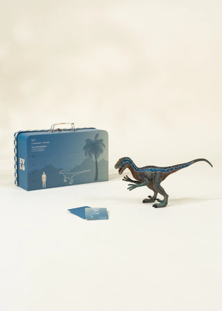 Dinosaure Vélociraptor & coffret collection