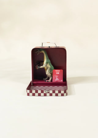 Dinosaure Thérizinosaure & coffret collection