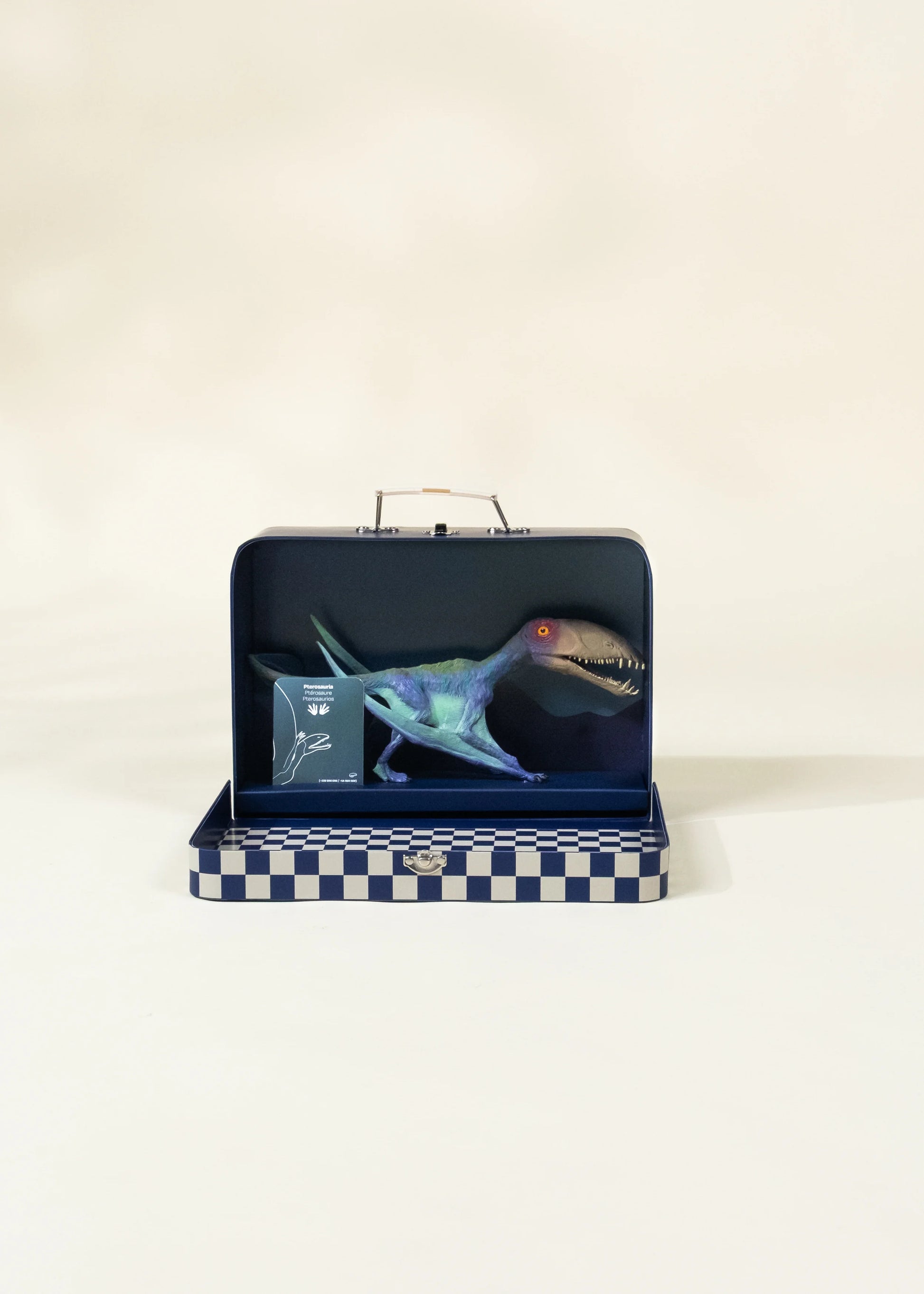 Pterosauria Dinosaur in a Collectible Box