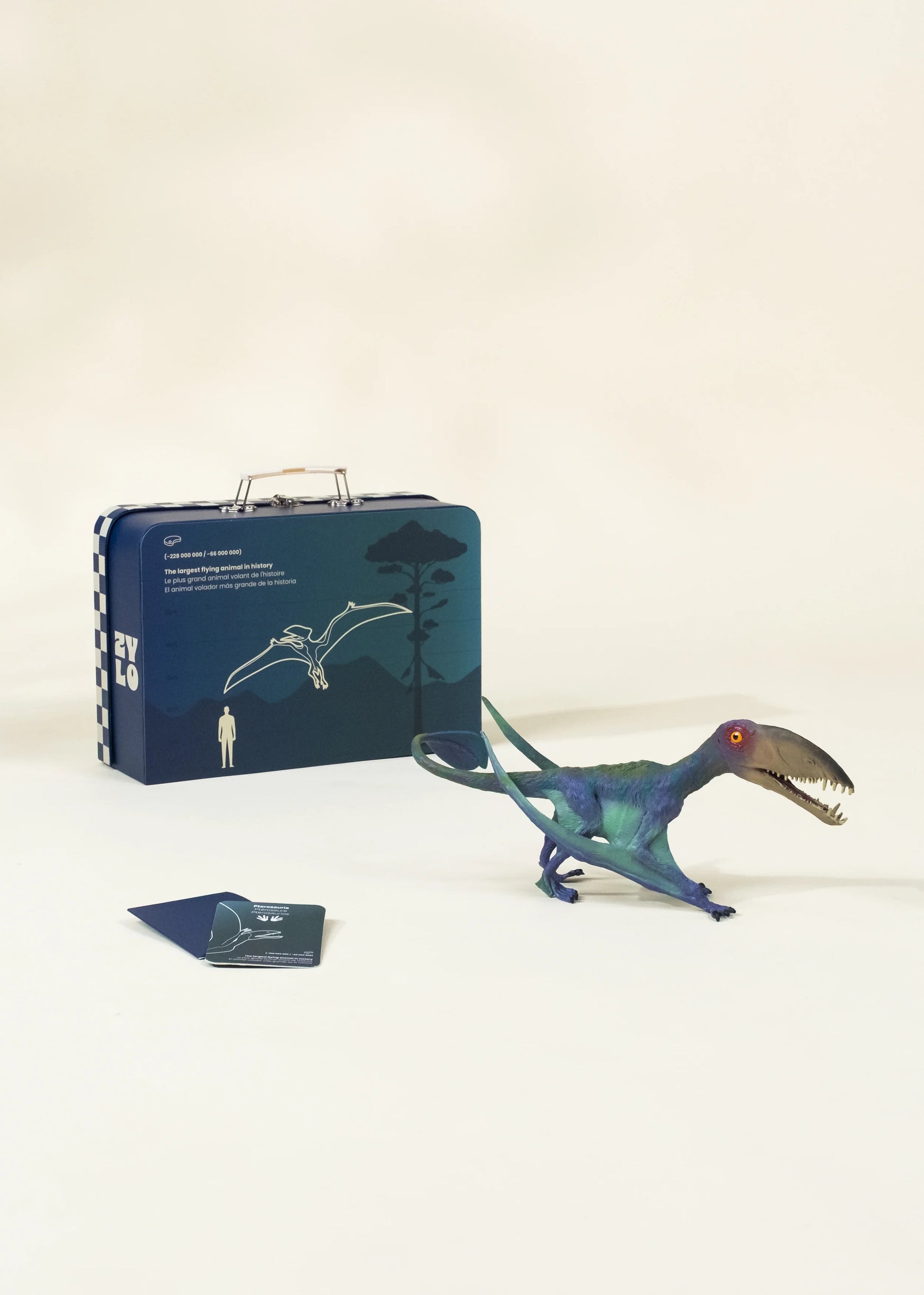 Pterosauria Dinosaur in a Collectible Box