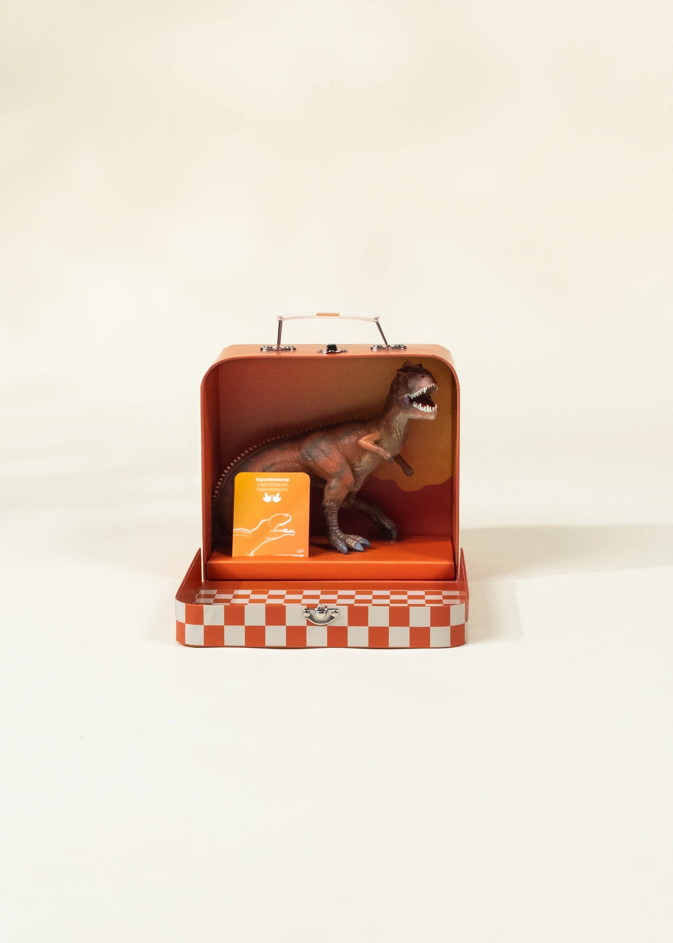 Image of Giganotosaurus Dinosaur in a Collectible Box