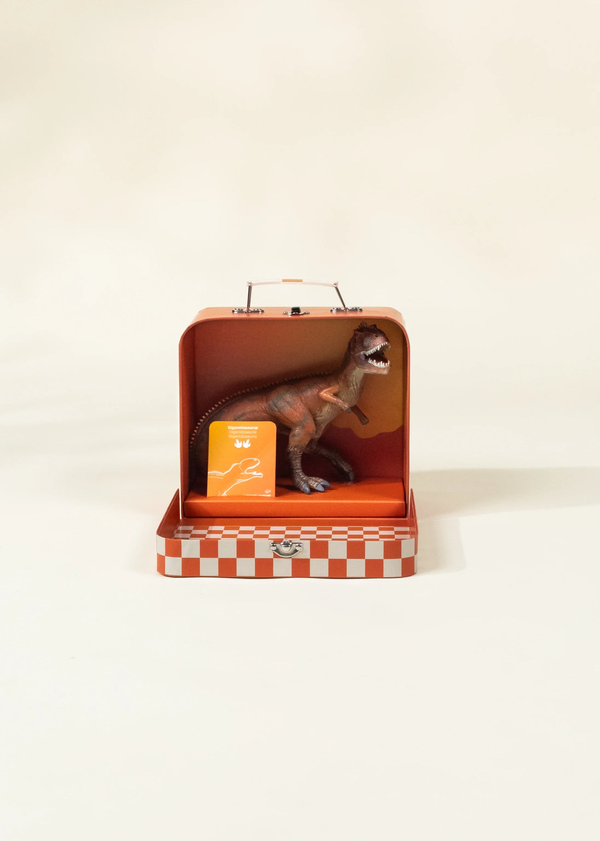 Giganotosaurus Dinosaur in a Collectible Box