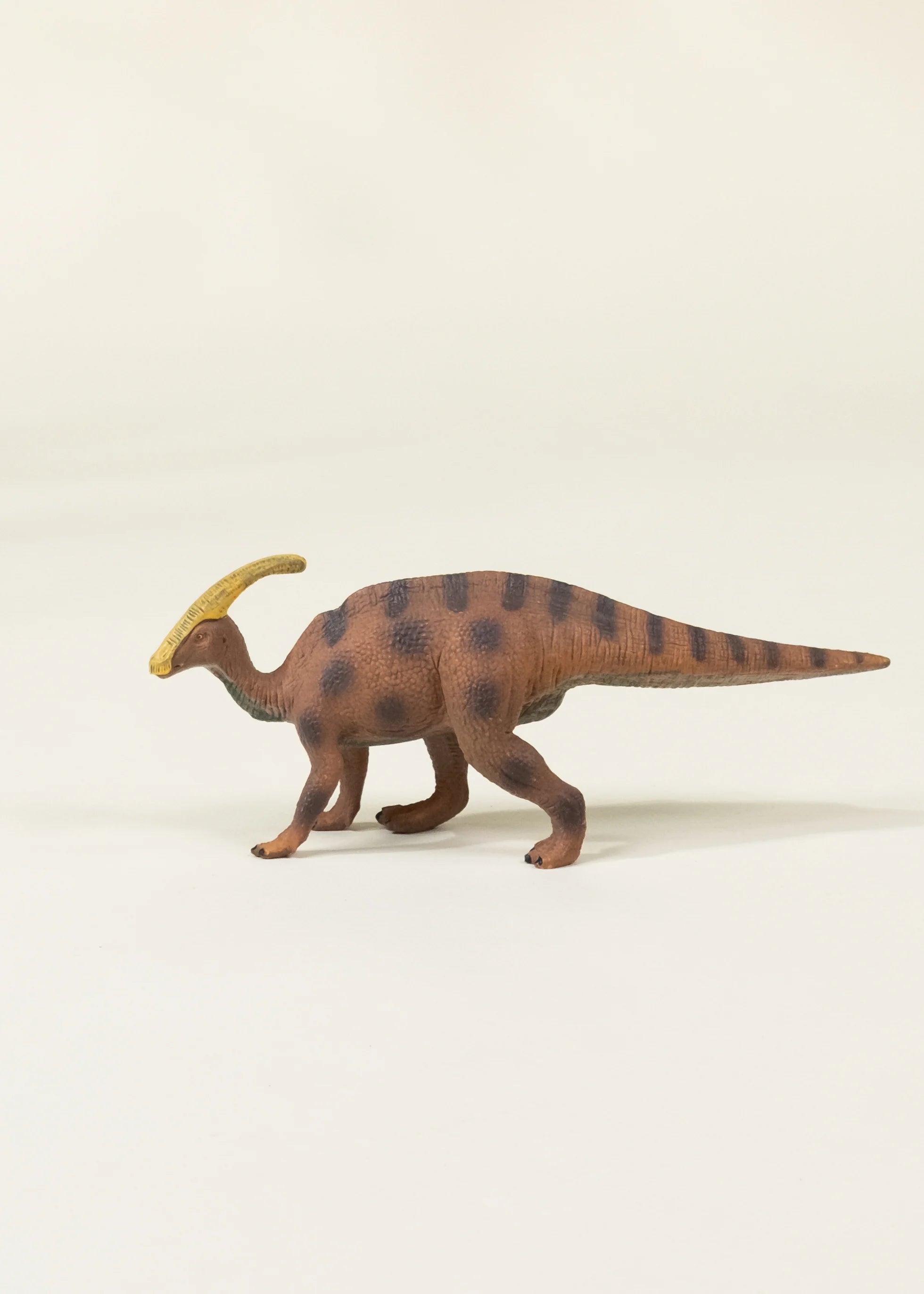 Image of Parasaurolophus Dinosaur in a Collectible Box