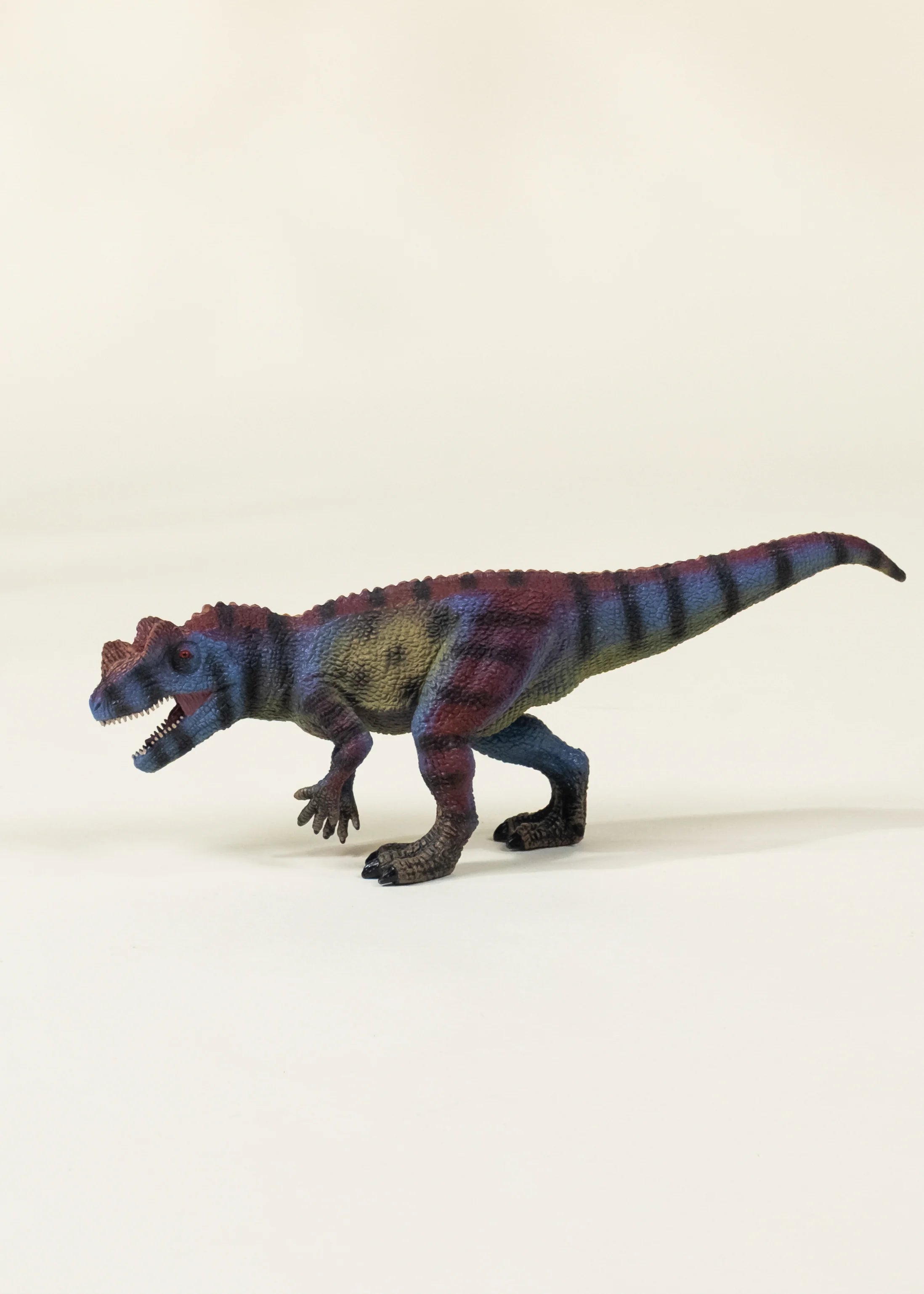 Image of Ceratosaurus Dinosaur in a Collectible Box