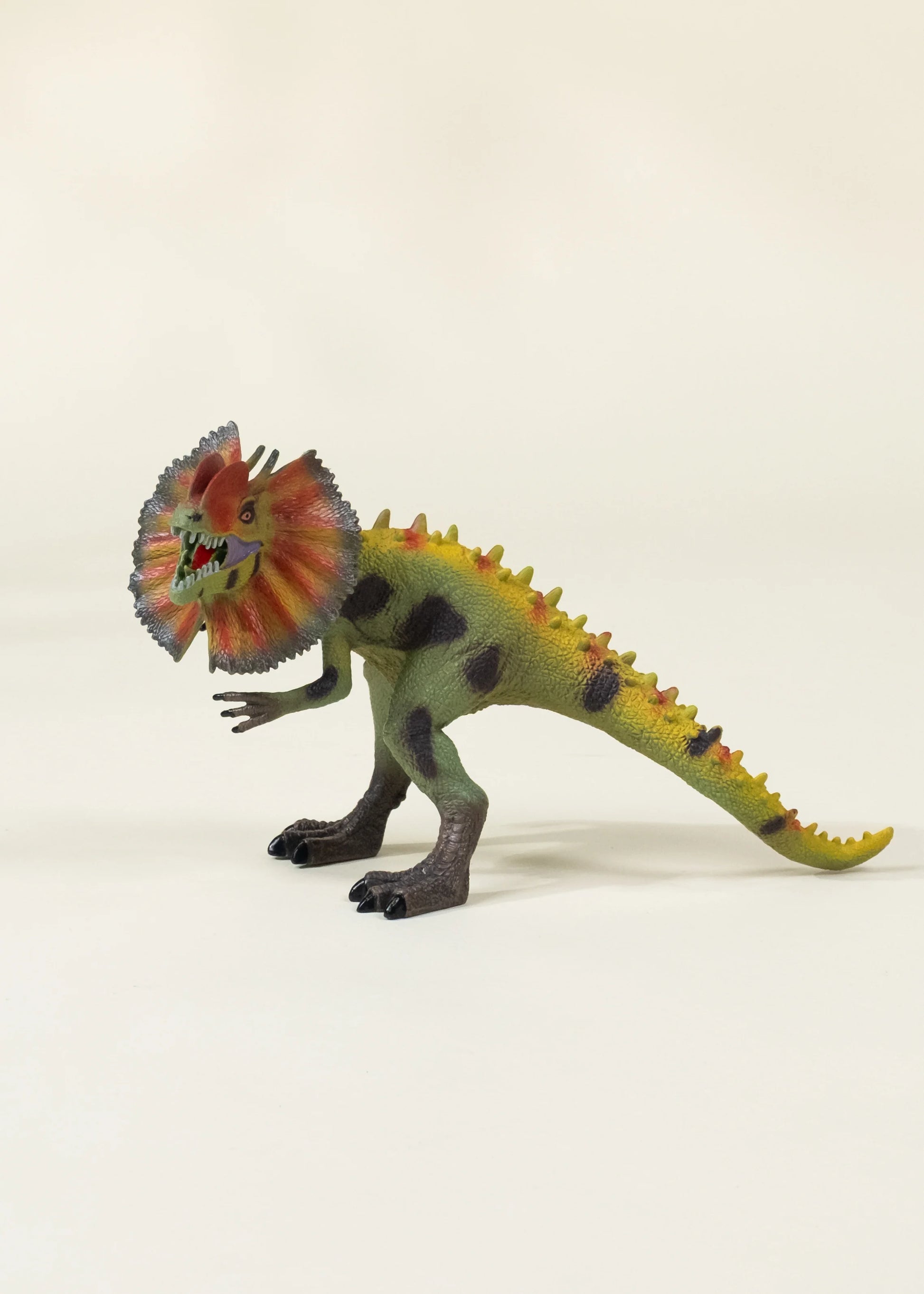 Dilophosaurus Dinosaur in a Collectible Box