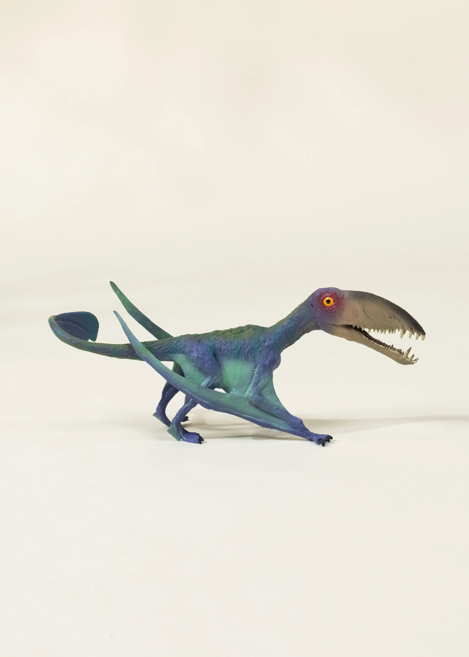 Pterosauria Dinosaur in a Collectible Box