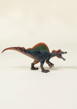 Spinosaurus dinosaure & Coffret de collection