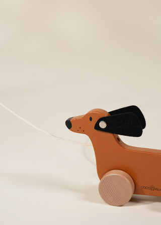 Dog Pull Toy
