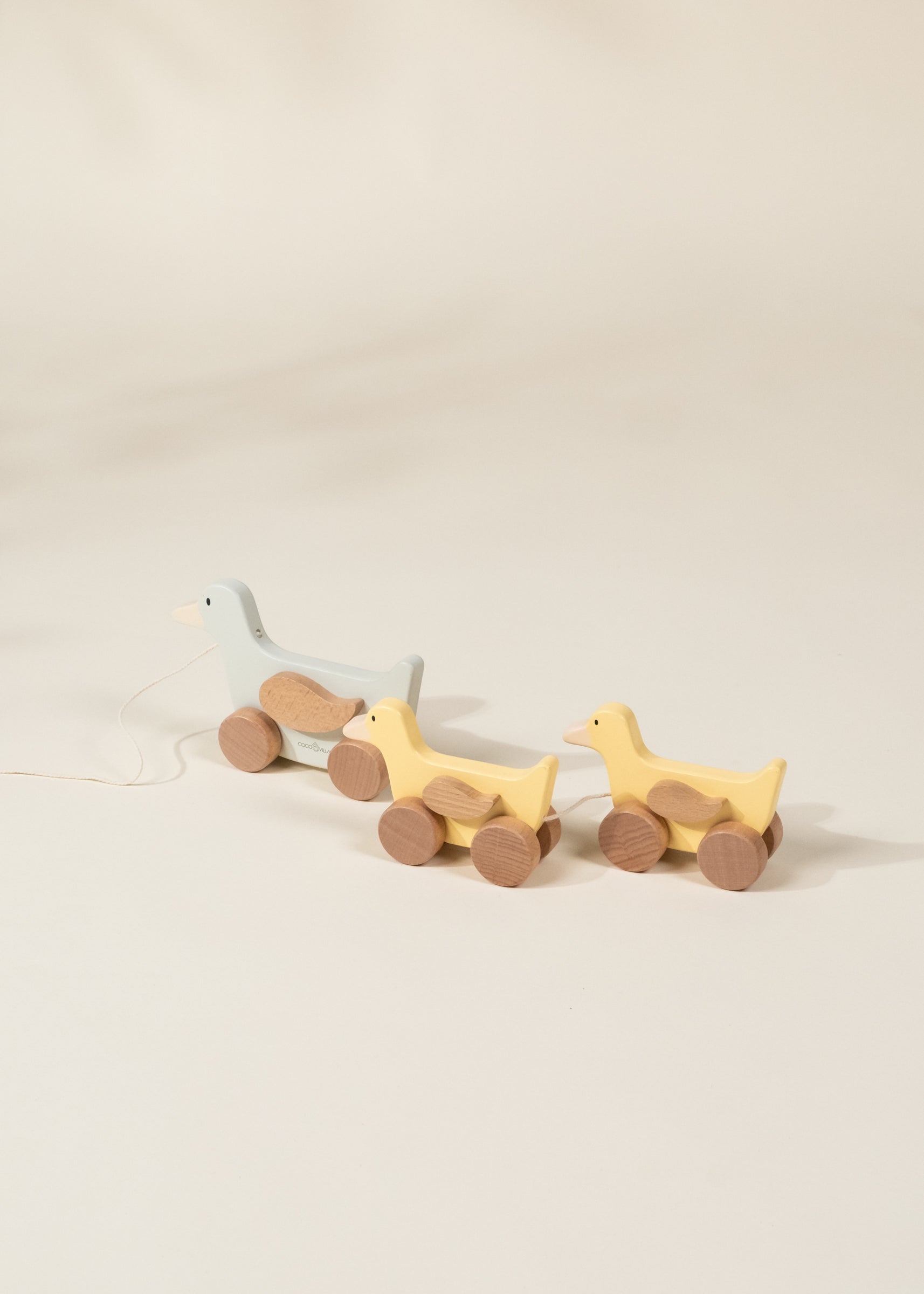 Famille de canards à promener en bois