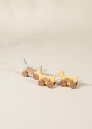 Famille de canards à promener en bois