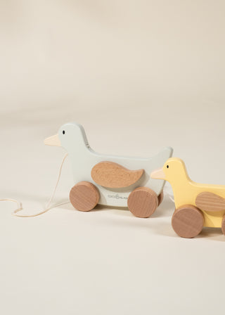 Famille de canards à promener en bois