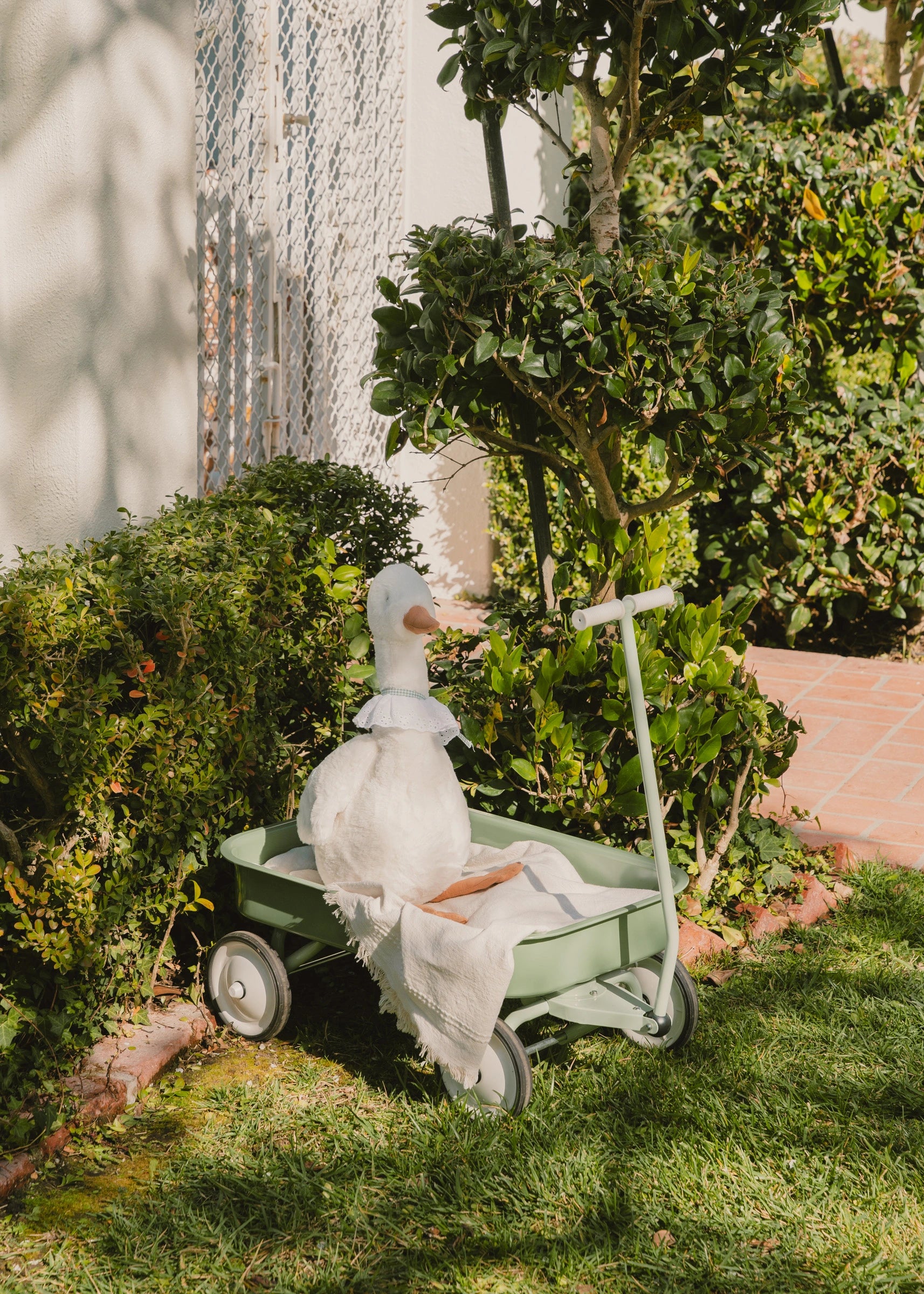 Image of Heritage Wagon – Grapefruit