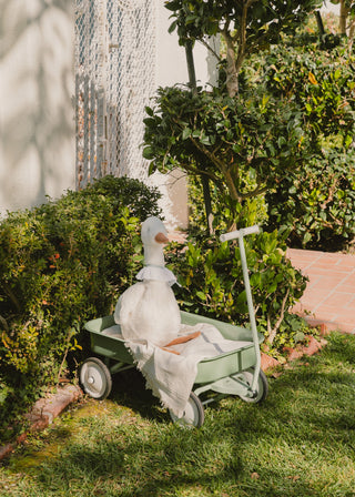 Heritage Wagon – Grapefruit