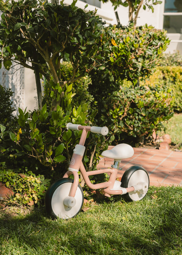Tricycle avec poignée & roues d'entrainement 4-en-1 - Pétunia 
