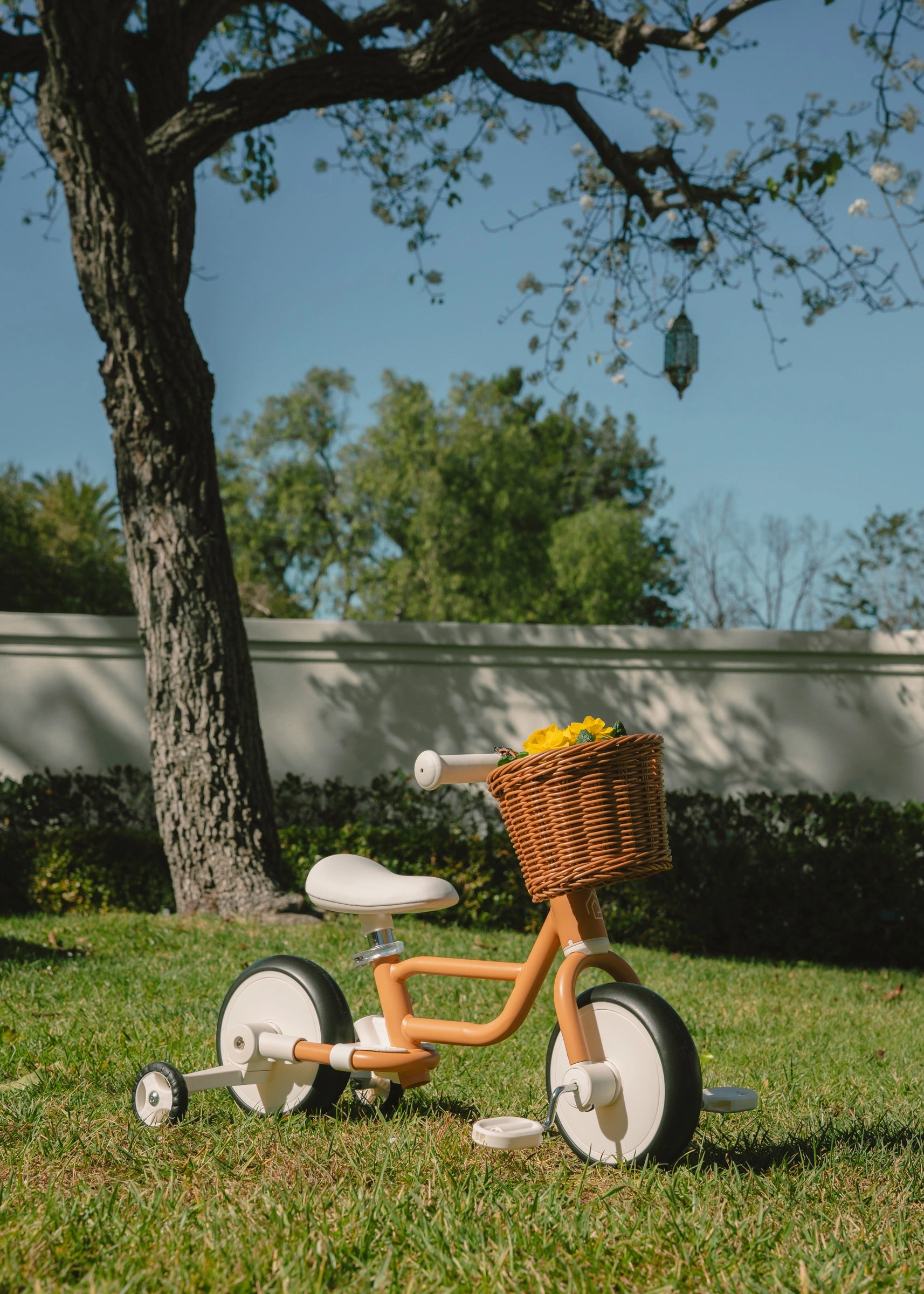 4-in-1 Tricycle with Push Handle & Training Wheels - Grapefruit