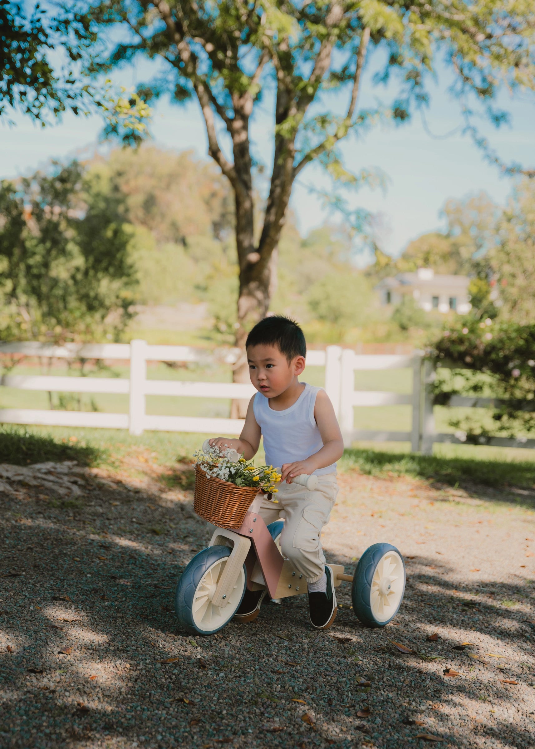 Vélo d’équilibre évolutif en bois - 3 en 1 – Pétunia 
