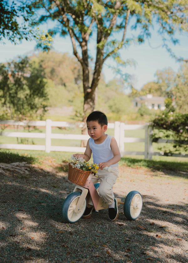 Vélo d’équilibre évolutif en bois - 3 en 1 – Pétunia 
