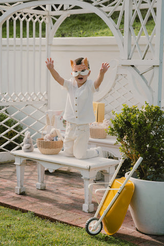 Masque Renard Fantastique