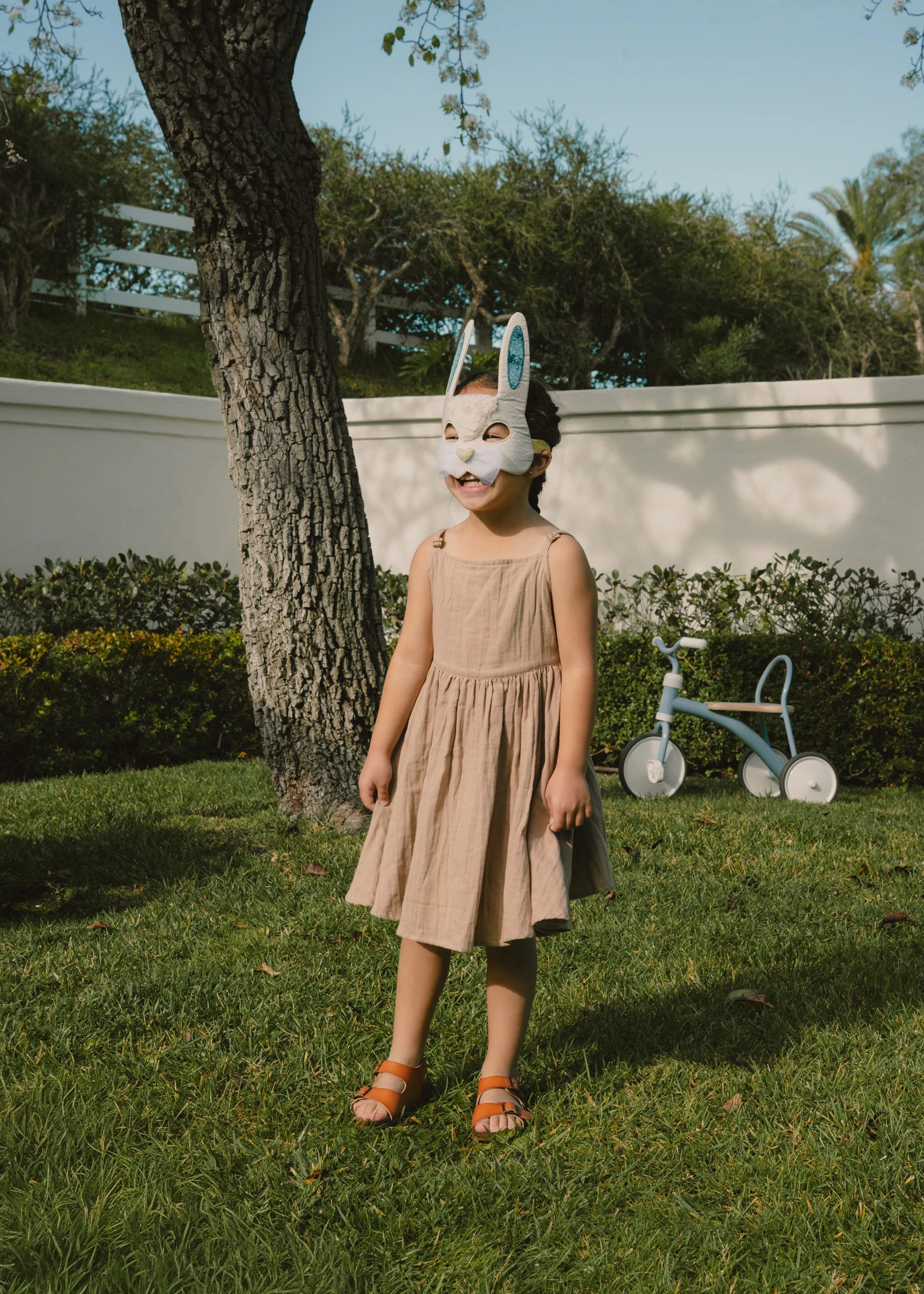 Fantastic Bunny Mask