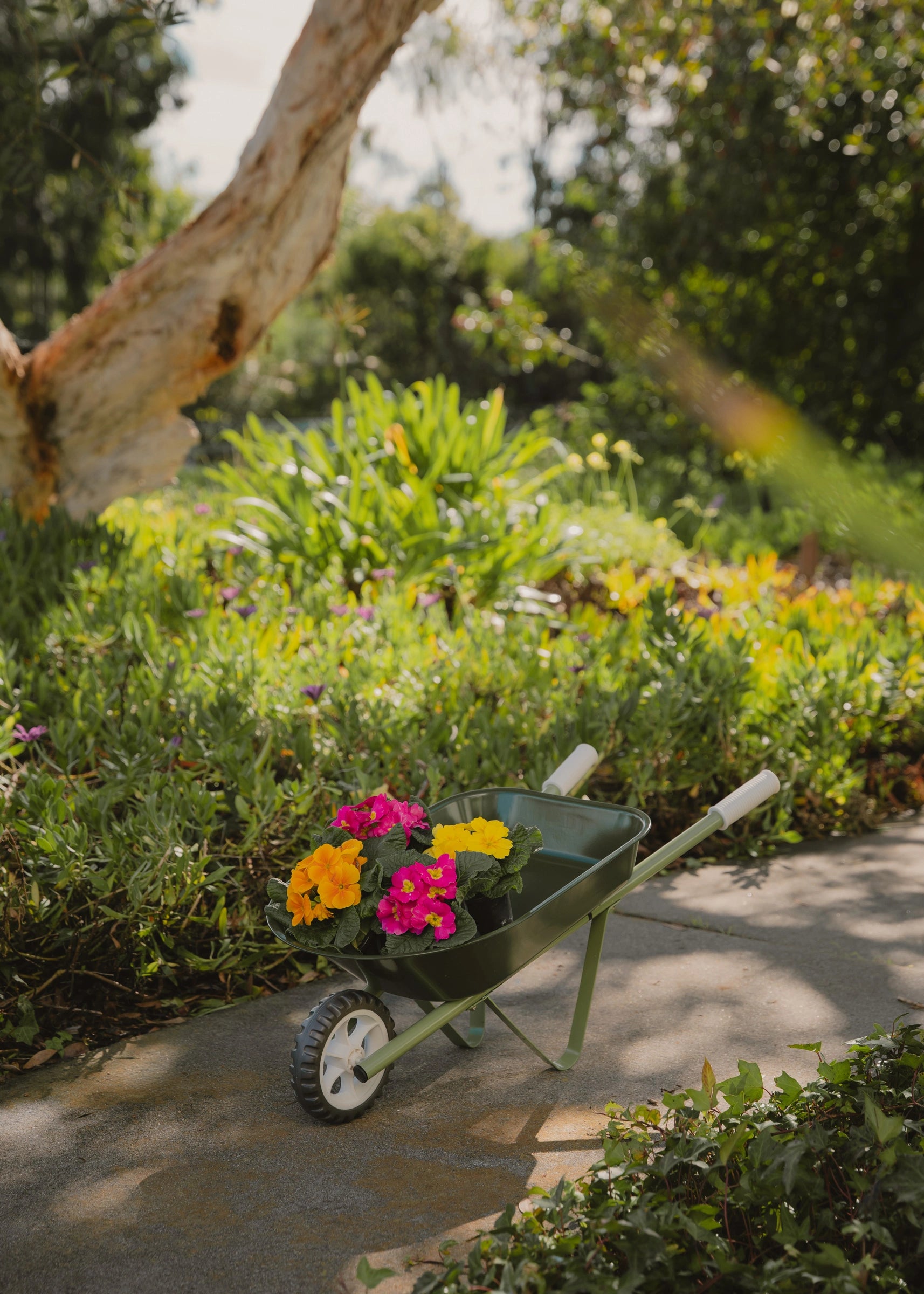 Heritage Wheelbarrow – Liane