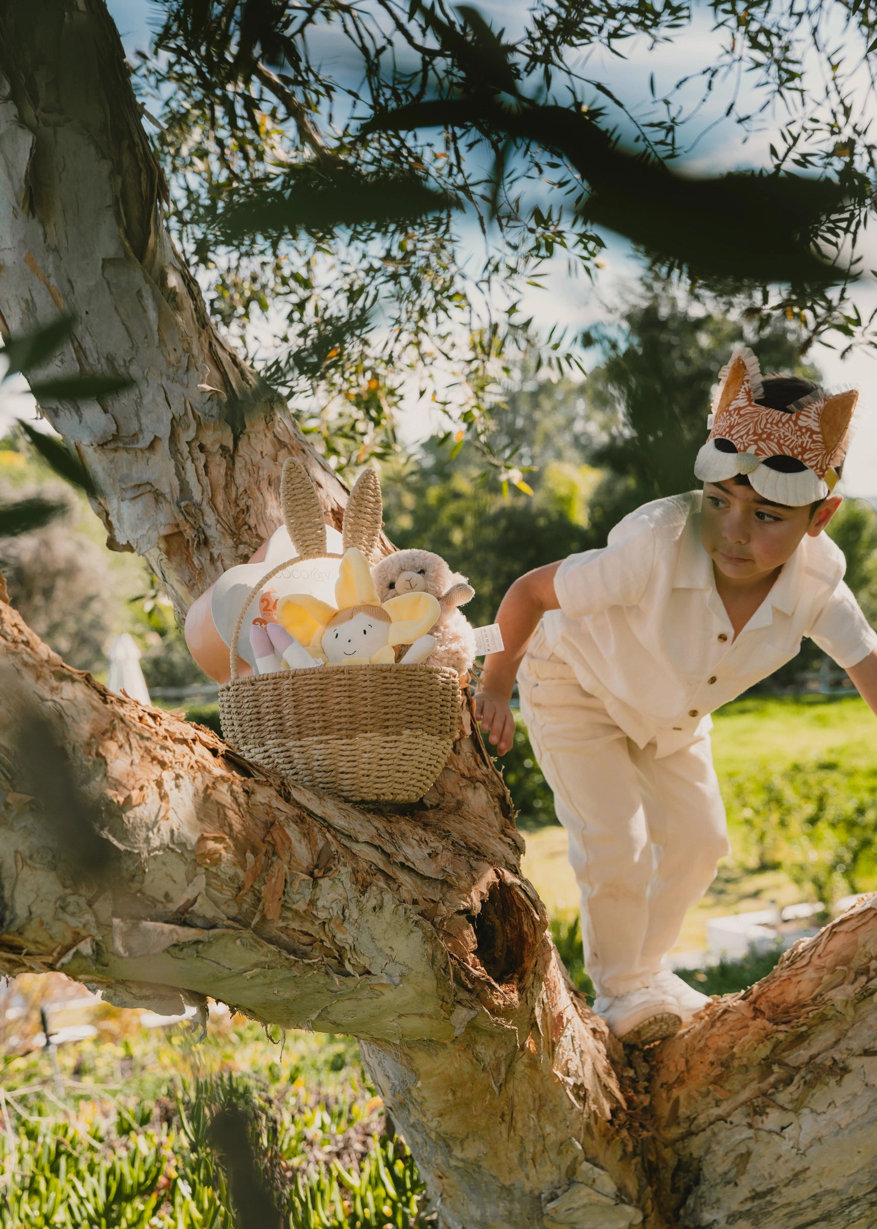 Masque Renard Fantastique