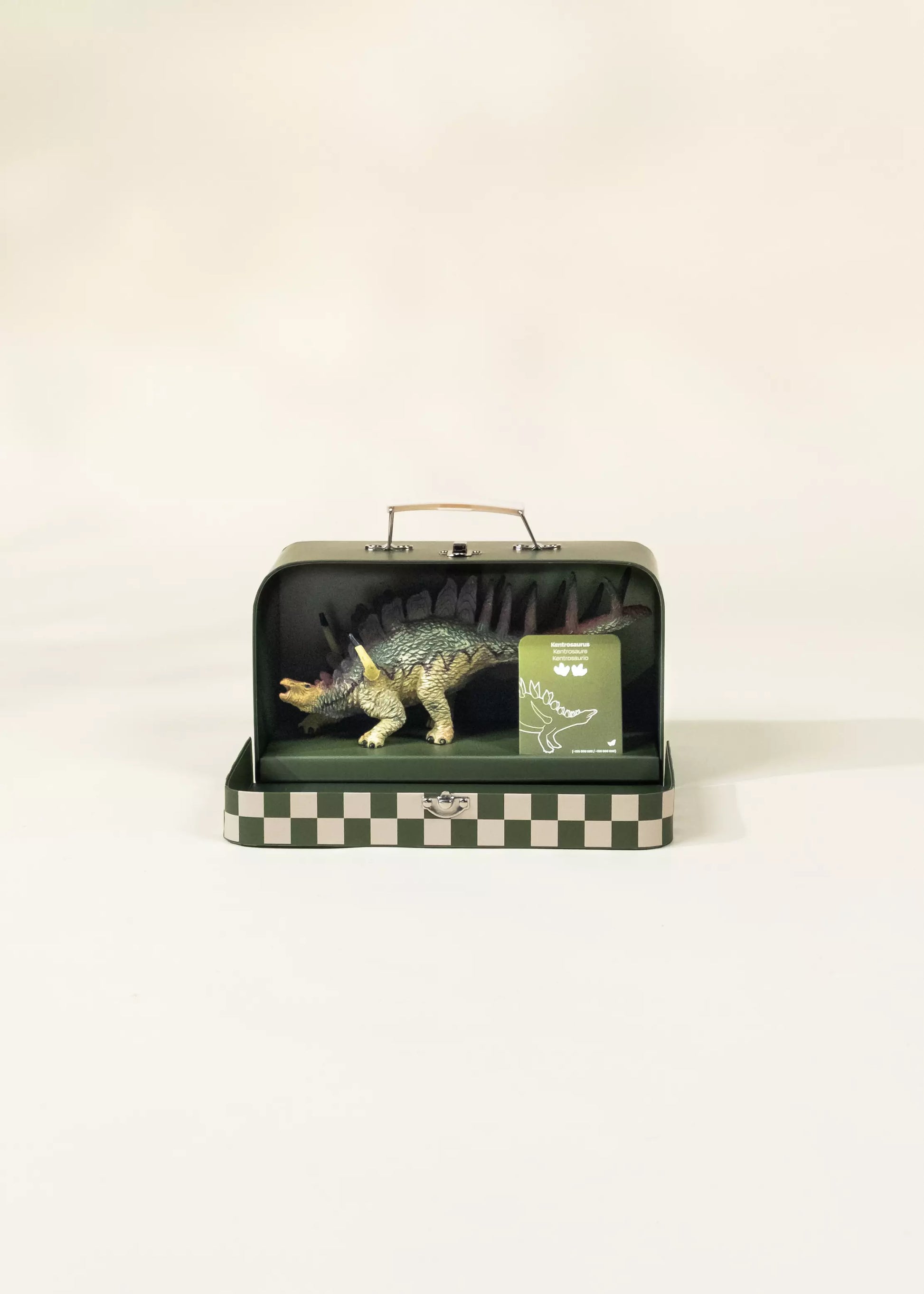 Kentrosaurus Dinosaur in a Collectible Box