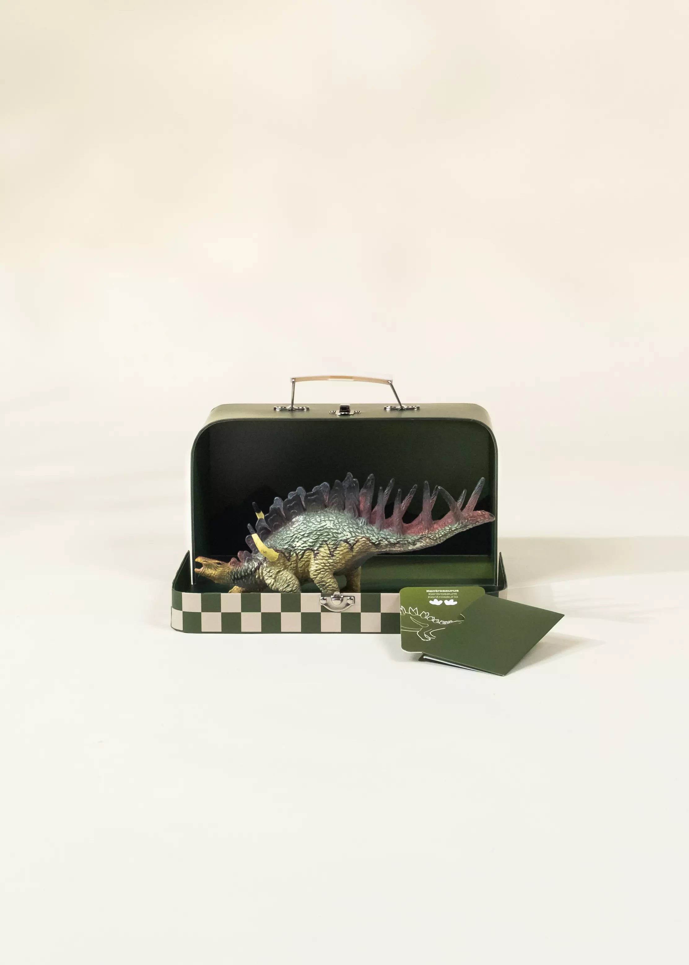 Image of Kentrosaurus Dinosaur in a Collectible Box