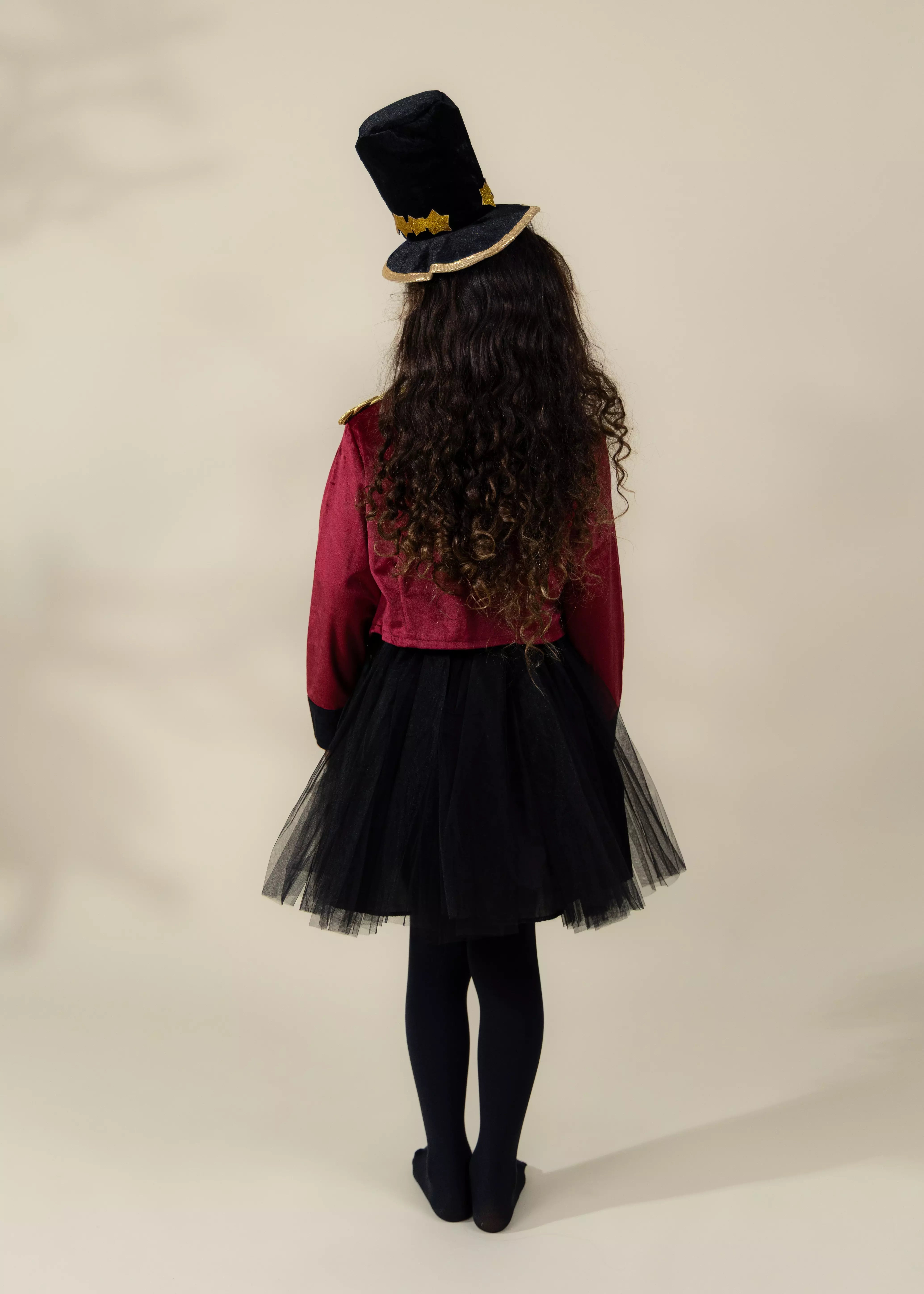 Image of Circus Master Costume