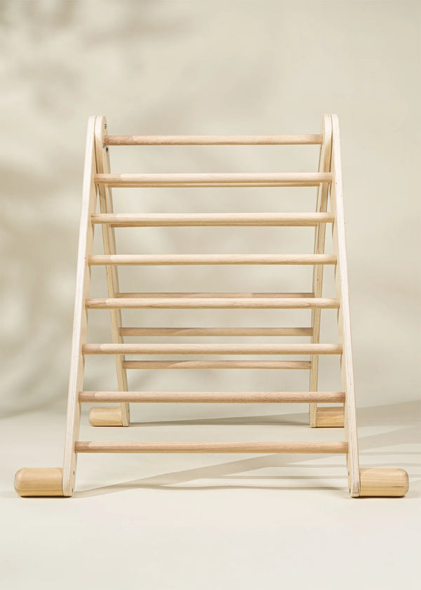 Montessori 2-in-1 Triangle & Wall Climber