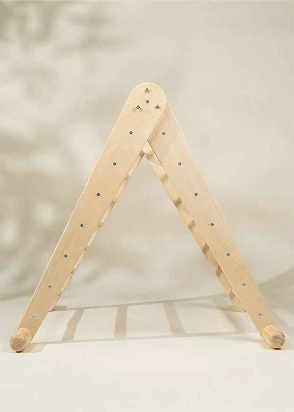 Montessori 2-in-1 Triangle & Wall Climber